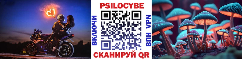 Купить где  Кольчугино  Псилоцибиновые грибы Psilocybe 